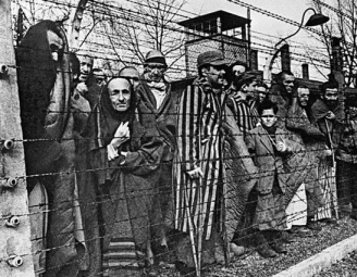 ПАМЯТЬ ЧЕРЕЗ ВЕКА II Международный день освобождения узников фашистских лагерей II Нельзя забыть