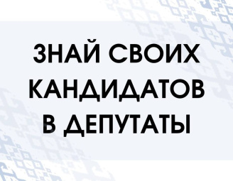 25 февраля – единый день голосования по выборам депутатов Палаты представителей и местных Советов депутатов